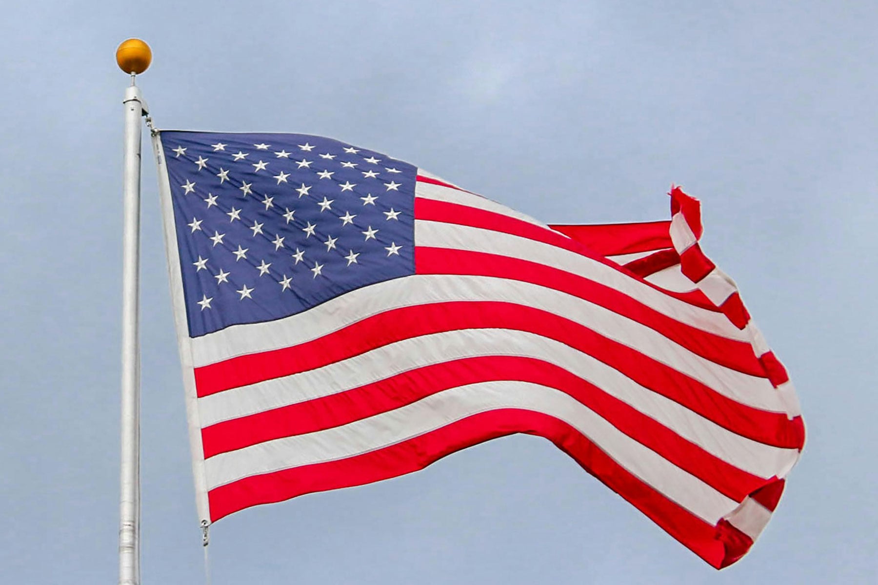 U.S. Patron Appreciation Events